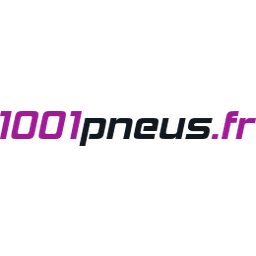 1001Neumaticos Logo