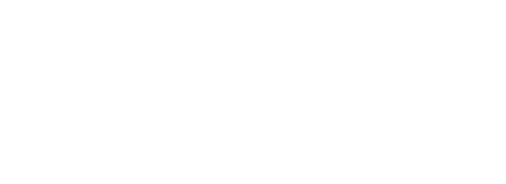 Ayiz Großhandel & Gastronomiebedarf Logo