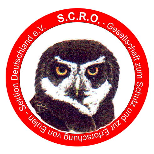 Adler- Wolfspark Kasselburg Logo