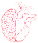 Abraham Goitom - Health & Performance Coaching Logo