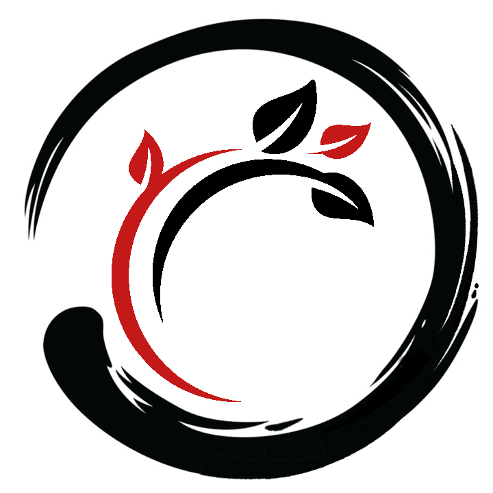 Menke Peter Aikido im Hof Logo
