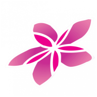 Air Rarotonga Logo