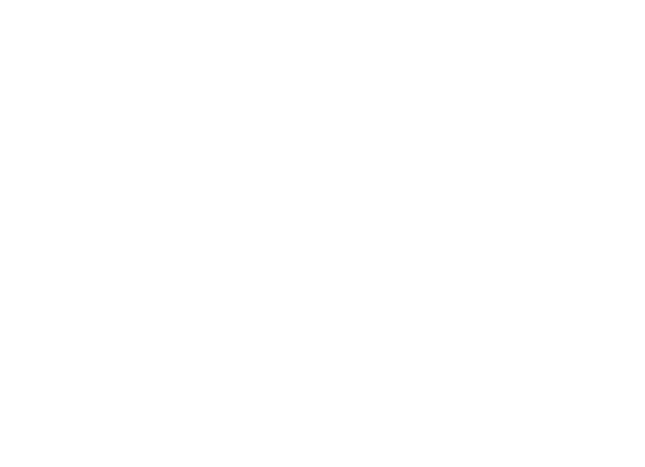 AN3X Logo