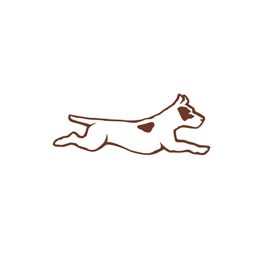 Anatomic Shoes Logo