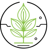 Heilpraktiker Andreas Holzknecht Logo