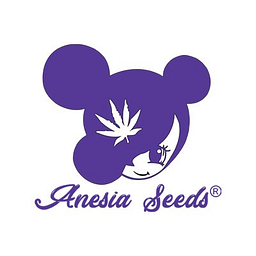 Anesiaseeds Logo
