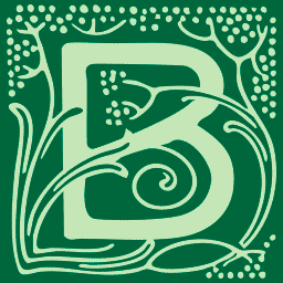 A NEW SWEDEN Logo