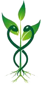 Groenewold Angeliena Heilprakt. Praxis f. Körpertherapie Logo
