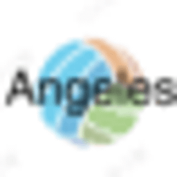 Angelsinvestments Logo
