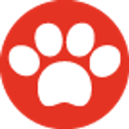 Anis Logo