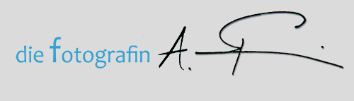 die fotografin Anja Frick Fotografin Logo