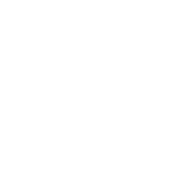Anoa Shop Logo