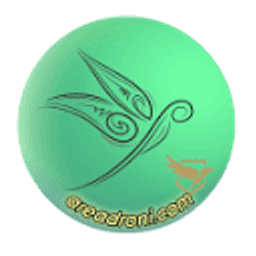 Areadroni Logo