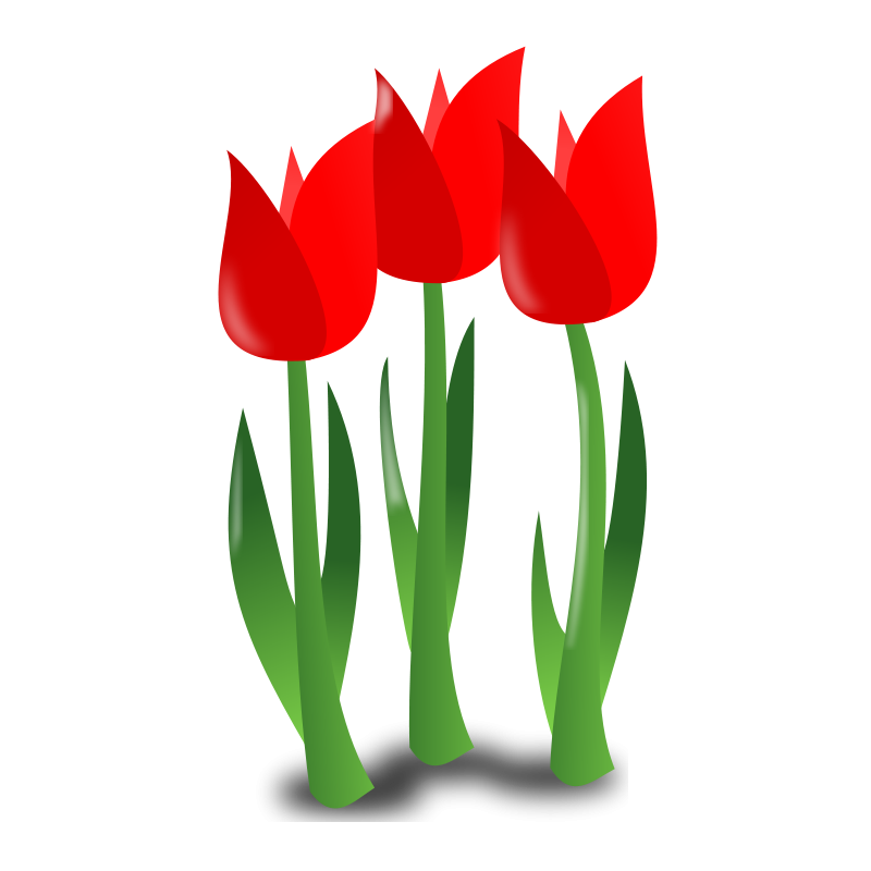 Art Floral Logo