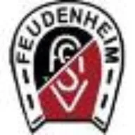 Da Sandro beim ASV Feudenheim Logo