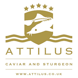 Attiluscaviar Logo