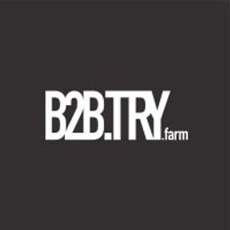 B2B TRY Logo