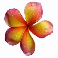 Baan Thai Massage Logo