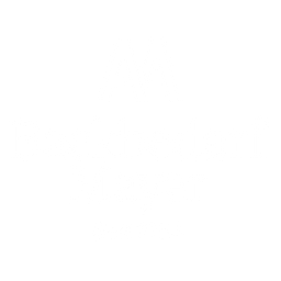 Mayer Anton Logo