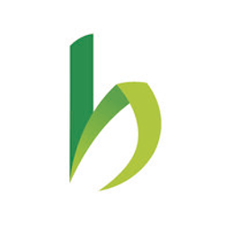 Bamboo Import Europe Logo