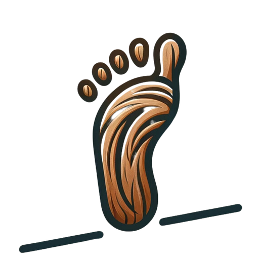 Barfussbalance Logo