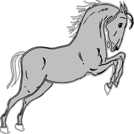 Brückner Andreas, Barhufbearbeitung Logo