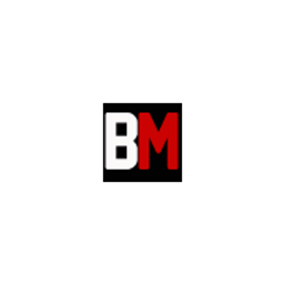 Baseballminister Logo