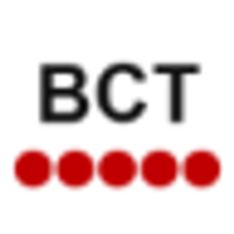 Baselcruisetransfers Logo