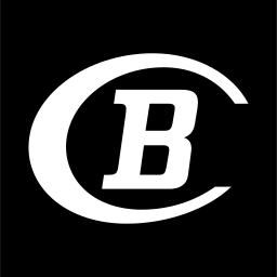 Bauknecht Logo