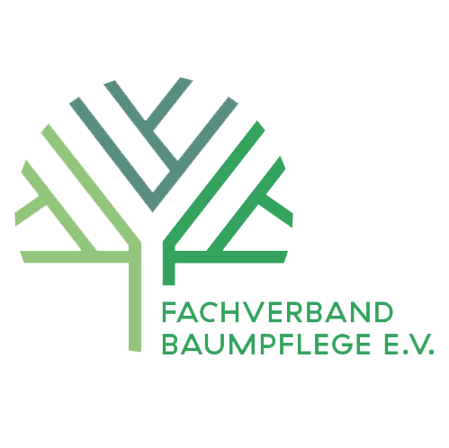 BaumKollektiv Fachkundige Baumpflege Logo