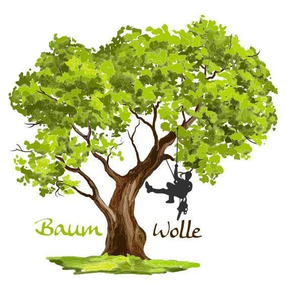 Baum-Wolle Logo