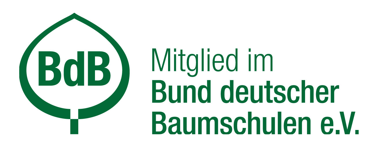 BAUM- & ROSENSCHULE H. Clausen Logo
