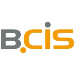 BCIS IT-Systeme GmbH & Co. KG IT-Lösungen Logo