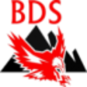 BDS Detektei Logo