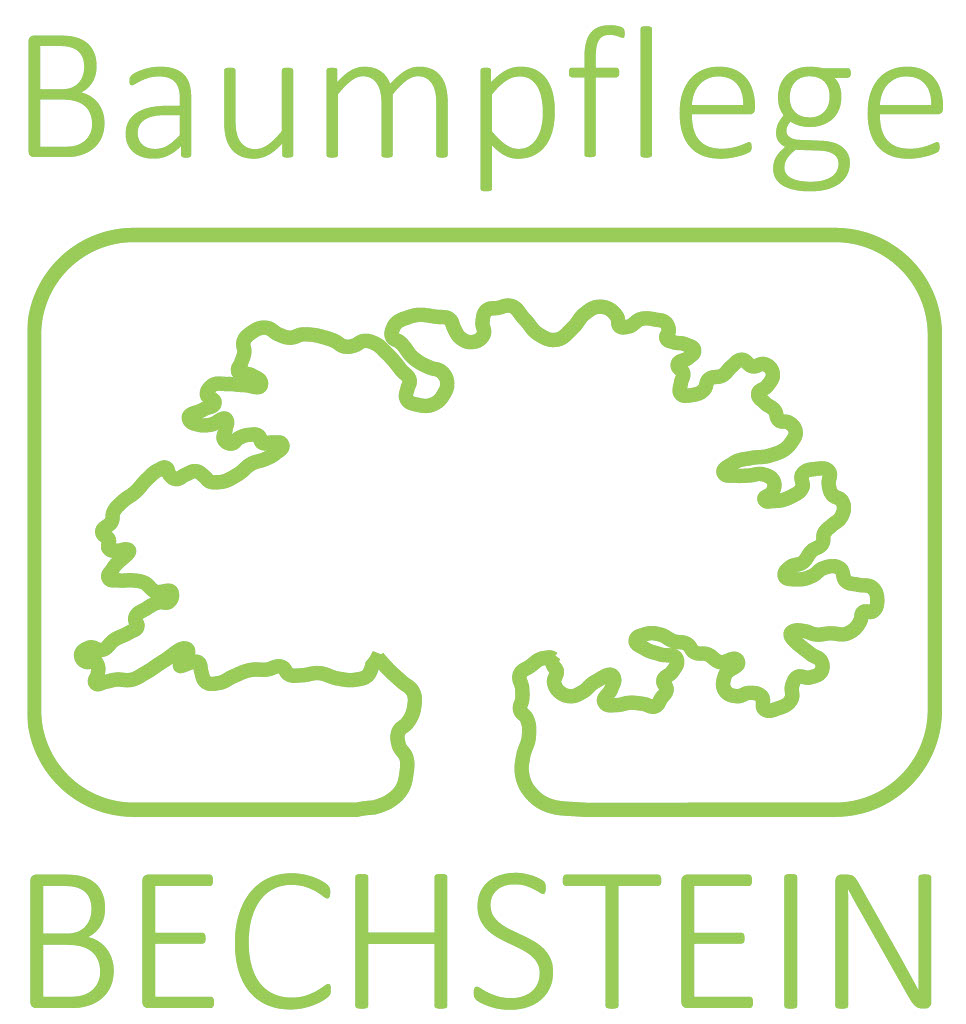 Bechstein Frank Baumpflege GmbH Logo