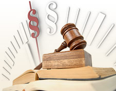 Beier Partner Logo