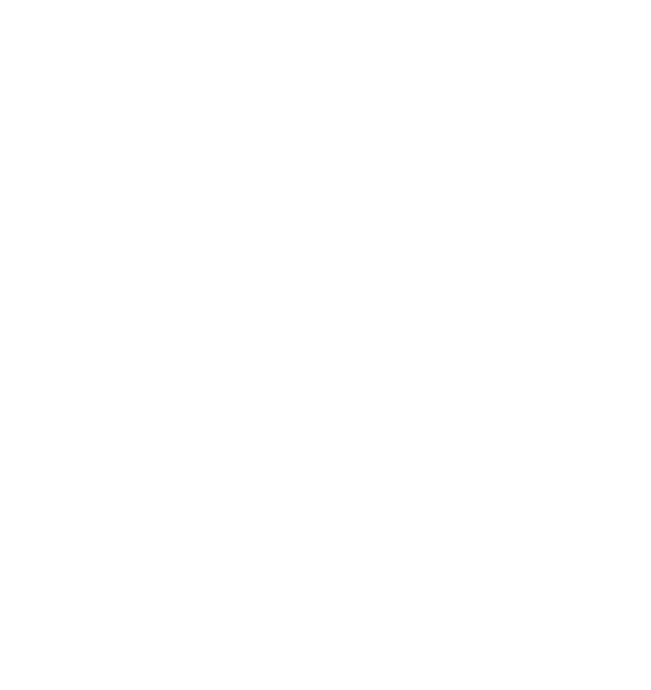 Berkemann Store Schuhfachhandel Logo