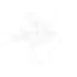 Bestattungen Sturzenbecher Logo