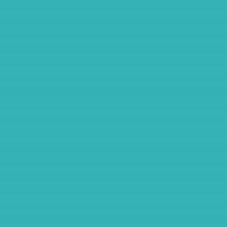 Bestcanvas Logo