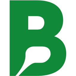 BetBrain Logo