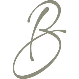 Bettersation Logo