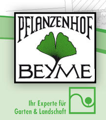 Beyme Anne Logo