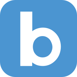 bFlash Logo