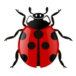 Bikekäfer Logo