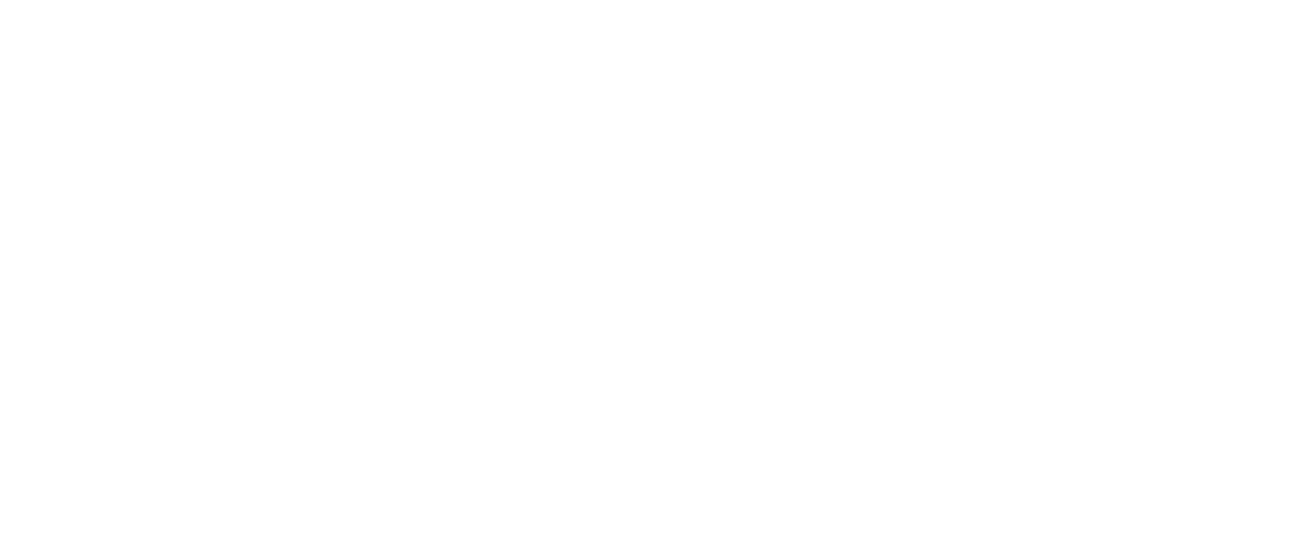 Bikesnboards Logo