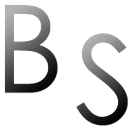 Fotostudio bildsucht Dennis Blechner Fotograf Logo