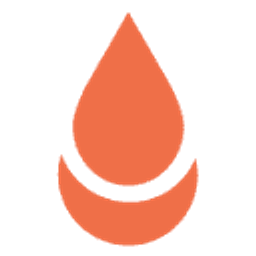 Bindu-Akademie Logo