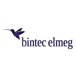 Bintec Elmeg Logo