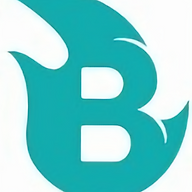 Biofiregrill Logo