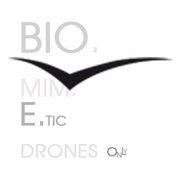 Bionicbird Logo